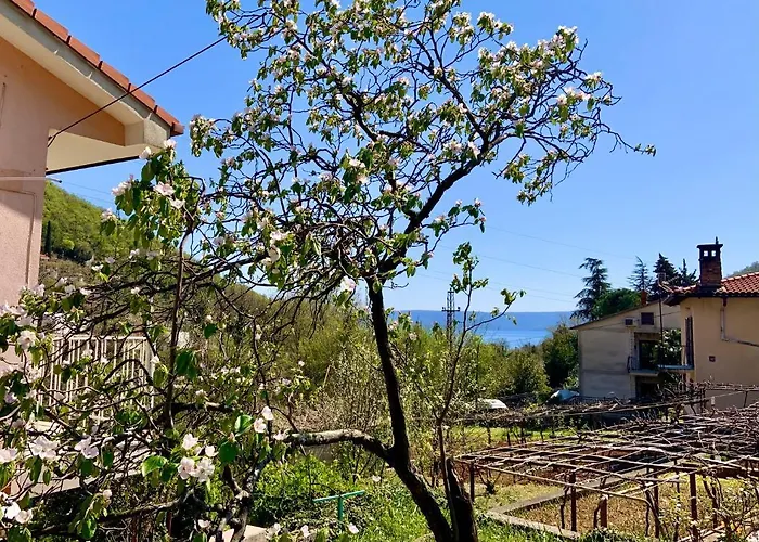 Apartmán Flamingo