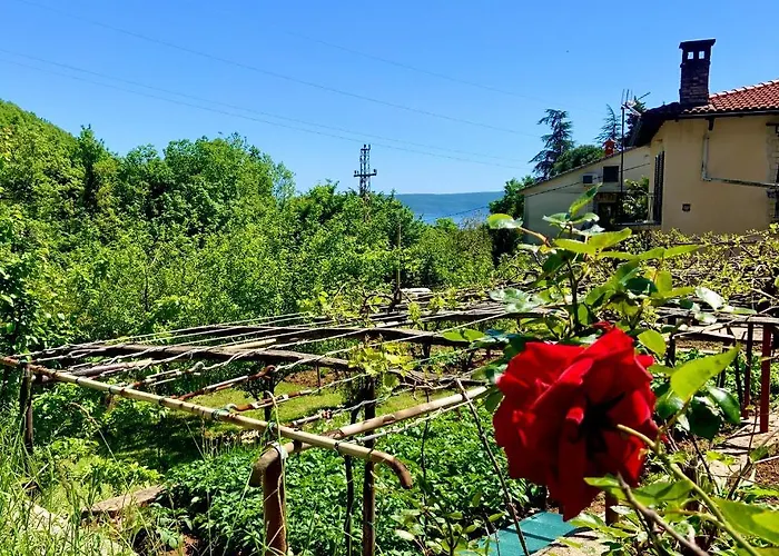 Daire Flamingo Mošćenička Draga