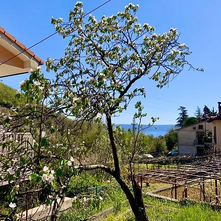 Апартаменты Flamingo