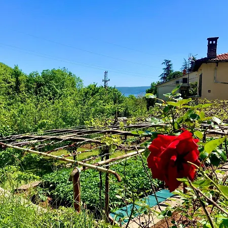 Apartment Flamingo Moscenicka Draga